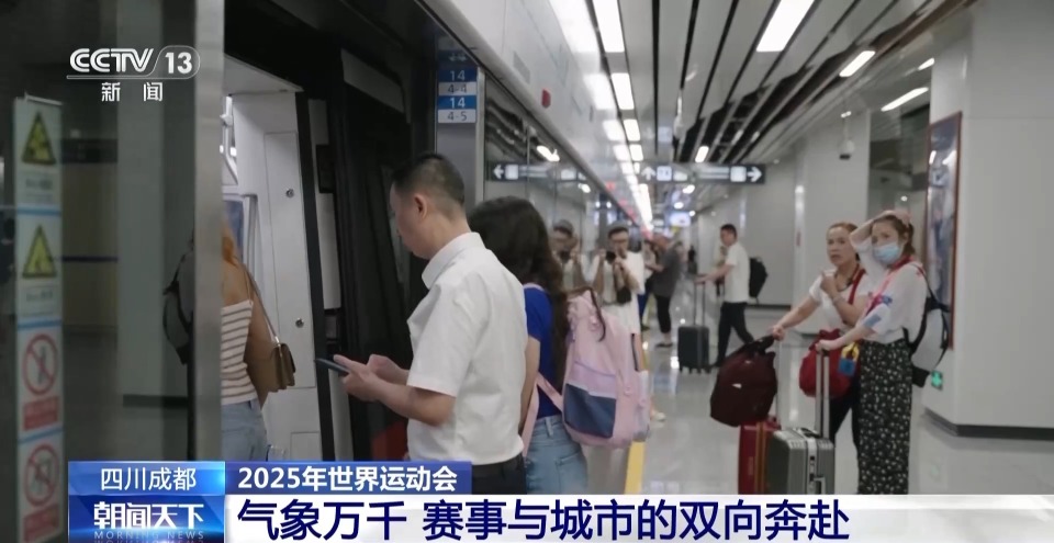 自由搏击运